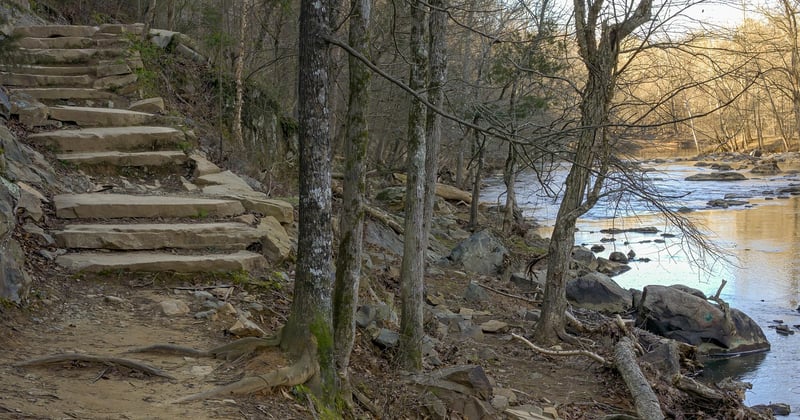 Randonnée hivernale en forêt près de Dourdan : 5 sentiers magiques à explorer