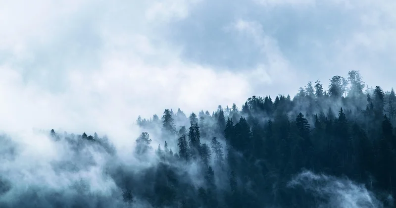 La forêt domaniale, le vrai moteur du week-end